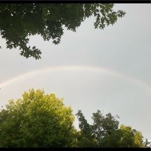 Meet your Posher, Isabella